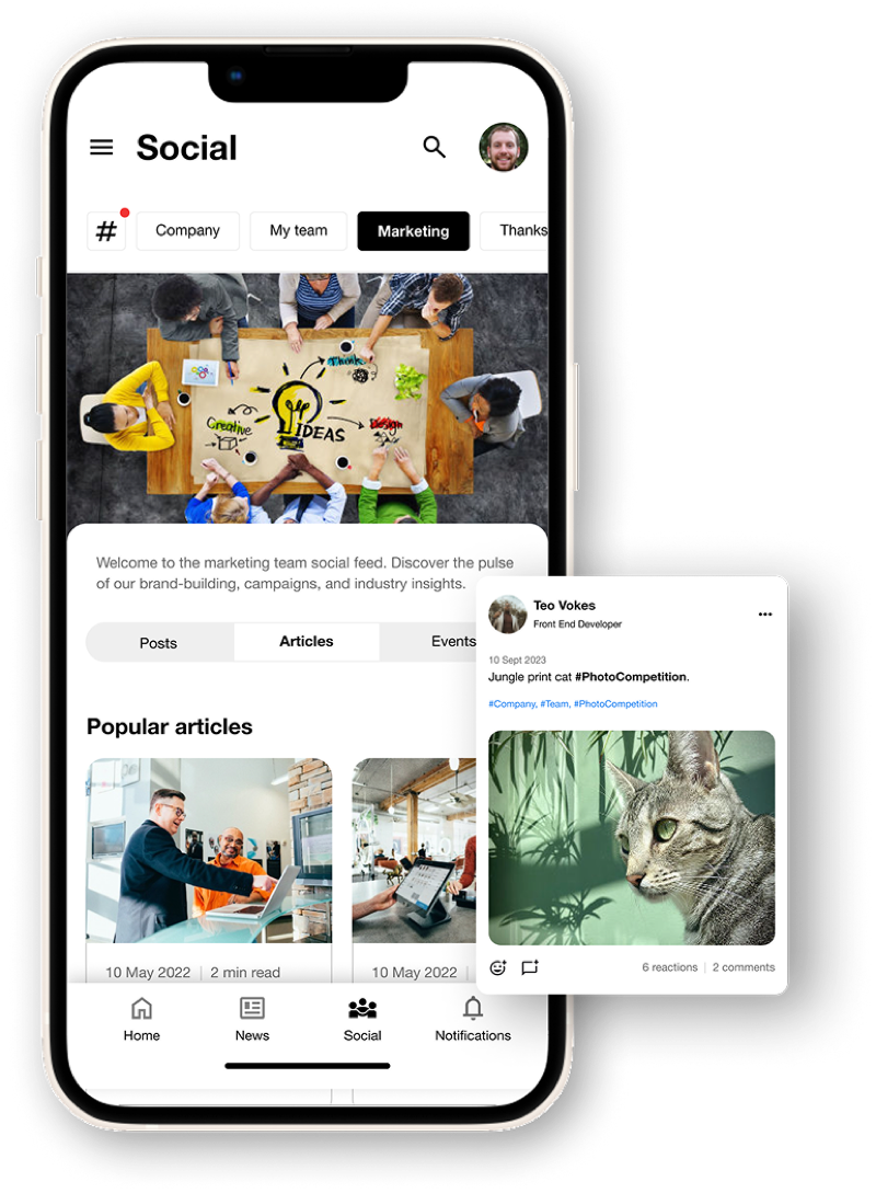 Mee social intranet showing feed, articles and photo competition